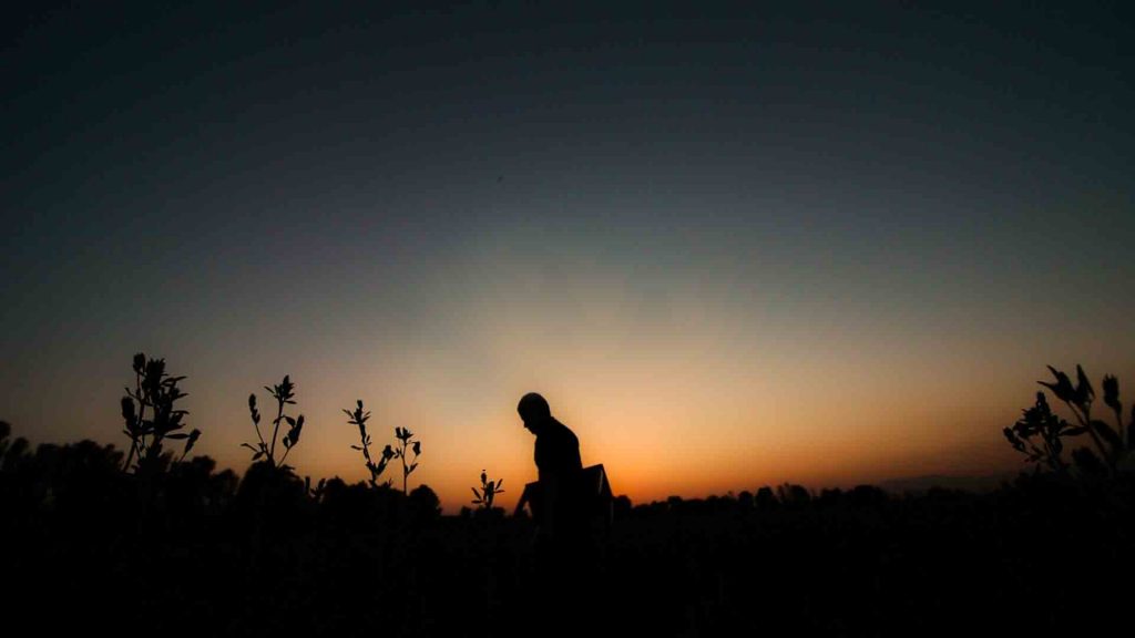 hossein bidgoli 29 1 1024x576 - گالری تصاویر حسین بیدگلی